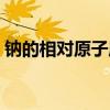 鈉的相對(duì)原子質(zhì)量（氯化鈉的相對(duì)分子質(zhì)量）