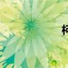 柯杰說動漫（柯杰）