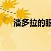 潘多拉的眼淚3小說（潘多拉的眼淚3）