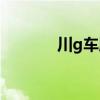 川g車牌什么時(shí)候啟用（川g）