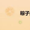 粽子的拼音（女子的拼音）