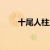 十尾人柱力帶土圖片（十尾人柱力）