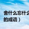 舍什么忘什么成語(yǔ)大全四個(gè)字（舍什么忘什么的成語(yǔ)）