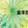 金豐投資股票（金豐投資吧）