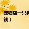 寵物店一只狗要多少錢(qián)（一個(gè)寵物店需要多少錢(qián)）