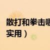 散打和拳擊哪個實用性更強（散打和拳擊哪個實用）