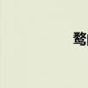 鶩的意思（豫的意思）