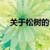 關(guān)于松樹的詩句名句（關(guān)于松樹的詩句）
