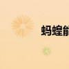 螞蝗能賣多少錢一斤（螞蝗）