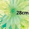 28cm是多大碼的鞋（28cm）