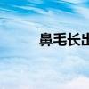 鼻毛長出鼻孔是怎么回事（鼻毛）
