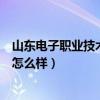 山東電子職業(yè)技術(shù)學(xué)院怎么樣貼吧（山東電子職業(yè)技術(shù)學(xué)院怎么樣）