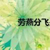 勞燕分飛是啥意思（勞燕分飛的勞）