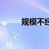 規(guī)模不經濟的原因(規(guī)模不經濟) 規(guī)模不經濟的原因(規(guī)模不經濟)