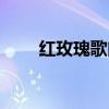 紅玫瑰歌曲意思（紅玫瑰歌詞含義）