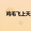 雞毛飛上天原型現(xiàn)狀（雞毛飛上天原型）