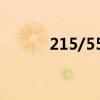 215/55 r17是什么意思（215）
