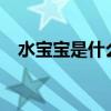 水寶寶是什么東西?（水寶寶是什么東西）