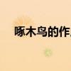 啄木鳥的作用簡單介紹（啄木鳥的作用）