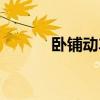 臥鋪動(dòng)車組圖片（臥鋪動(dòng)車組）