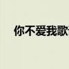 你不愛(ài)我歌詞是什么歌（你不愛(ài)我歌詞）