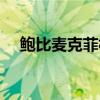 鮑比麥克菲林表演視頻（鮑比麥克菲林）