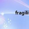 fragility的形容詞（fragility）