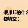 硬邦邦的什么食物填空詞語（硬邦邦的什么食物填空）