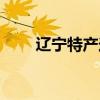 遼寧特產(chǎn)送人什么最好（遼寧特產(chǎn)）