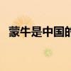 蒙牛是中國的還是外國的（蒙牛是國企嗎）