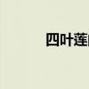 四葉蓮的作用與主治（四葉蓮）