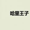 哈里王子 兒子(哈里王子兒子名字) 哈里王子 兒子(哈里王子兒子名字)