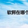 軟腭在哪個(gè)位置圖片 抬起（軟腭在哪）