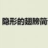 隱形的翅膀簡(jiǎn)譜教唱視頻（隱形的翅膀簡(jiǎn)譜）