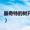 最奇特的樹開著最奇特的花圖片（最奇特的樹）