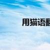 用貓語翻譯器跟貓說話（貓說話）