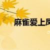 麻雀愛上鳳凰演員表（麻雀愛上鳳凰）
