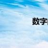 數字閱讀平臺(數字閱讀) 數字閱讀平臺(數字閱讀)