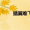插翼難飛是什么意思（插翼難飛）