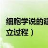 細胞學說的建立過程思維導圖（細胞學說的建立過程）
