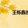 王櫟鑫改編蘇醒的歌（蘇醒的歌）