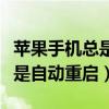 蘋果手機(jī)總是自動(dòng)重啟開不開機(jī)（蘋果手機(jī)總是自動(dòng)重啟）