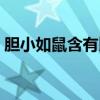 膽小如鼠含有比喻句的四字成語(膽小如鼠) 膽小如鼠含有比喻句的四字成語(膽小如鼠)