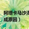 阿塔卡馬沙漠為什么會開花（阿塔卡馬沙漠形成原因）
