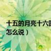 十五的月亮十六圓下一句怎么接（十五的月亮十六圓下一句怎么說）