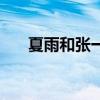 夏雨和張一山相似度（夏雨和張一山）