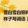 雪白雪白照樣子寫詞語還有哪些（雪白雪白照樣子寫詞語）