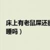 床上有老鼠屎還能睡嗎用消毒液有用嗎（床上有老鼠屎還能睡嗎）
