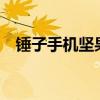 錘子手機堅果pro2s（錘子手機堅果pro）