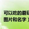 可以吃的蘑菇有幾種名字和圖片（能吃的蘑菇圖片和名字）
